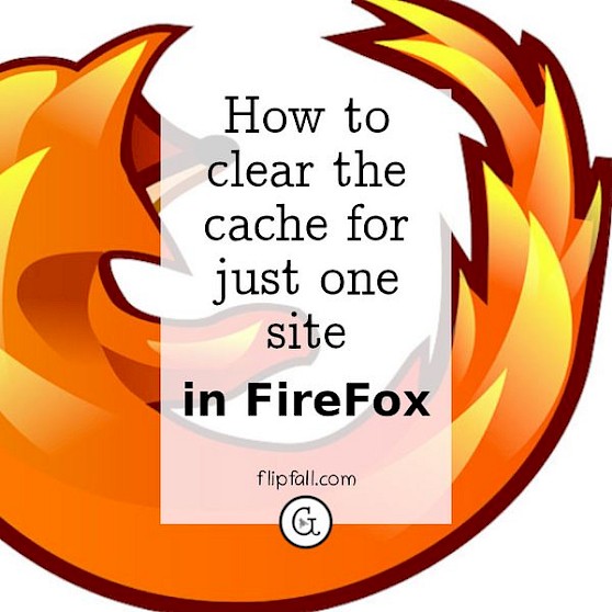 FireFox logo - how to have Firefox clear the cache for a site