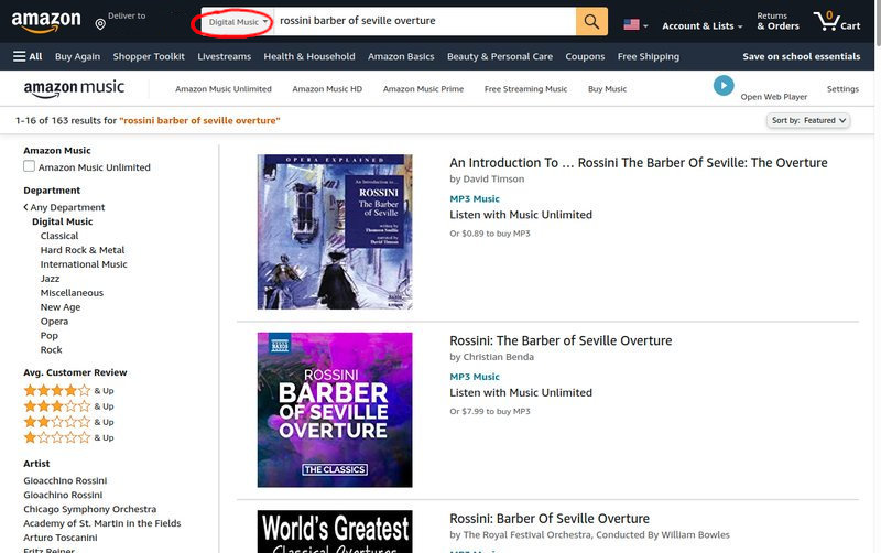Screenshot of Amazon.com showing search results