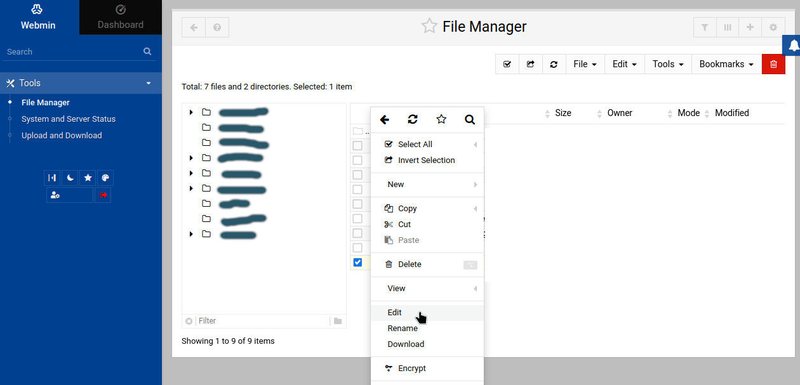 Screenshot of Webmin file manager with options to edit a file