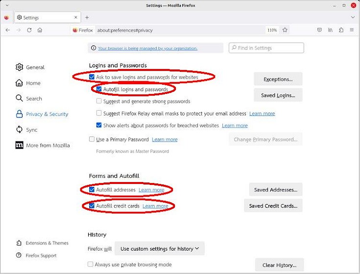 Screenshot of the privacy and security settings in the Firefox browser